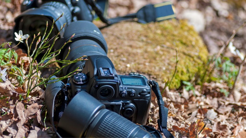 Cameras & Gear to Build Your Nature Photography Skills